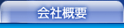 �I�[�W�F�C�P�C��ЊT�v
